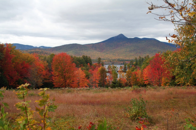 New Hampshire trees at their autumnal best
