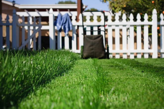 Photo of a mowed lawn and lawn mower