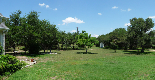 Photo of the backyard of the Boerne House.