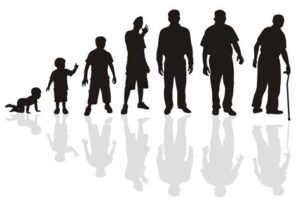 Silhouettes of a baby, a toddler, a child, a teen, a grown man, a middle aged man, and a senior citizen.