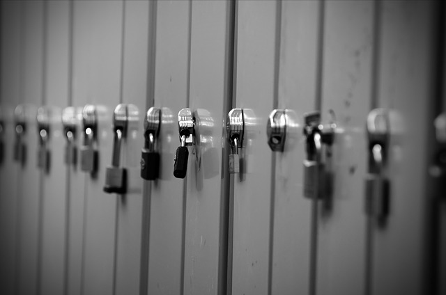 A row of padlocks