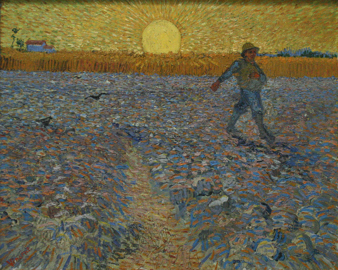 Parable of the Sower: A Good Harvest