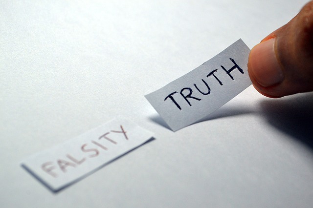 Choices of falsity or truth to choose from.