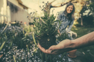 Working in a garden, with dirt and plant life in hand.