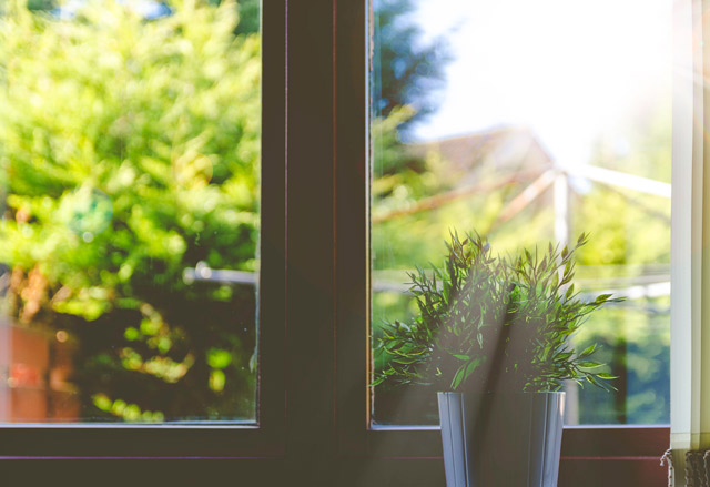 Sunlight pouring into a window, with a plant on the windowsill.
